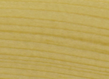 Scheuring Fenster GmbH